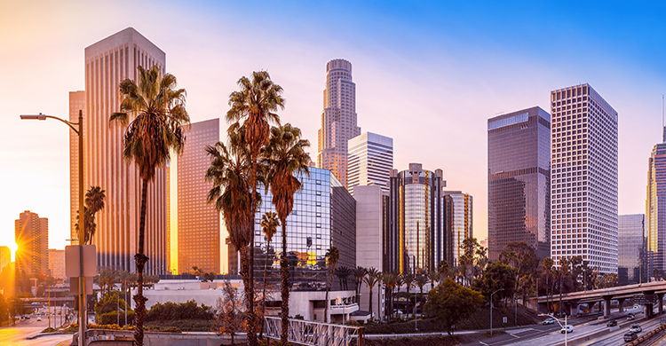  Los Angeles Areans + Stadiums Charter Bus Guide